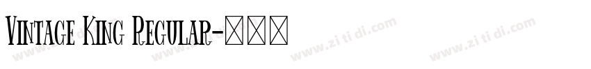Vintage King Regular字体转换